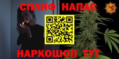 стафф Волгодонск