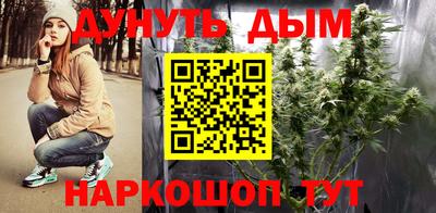 стафф Волгодонск